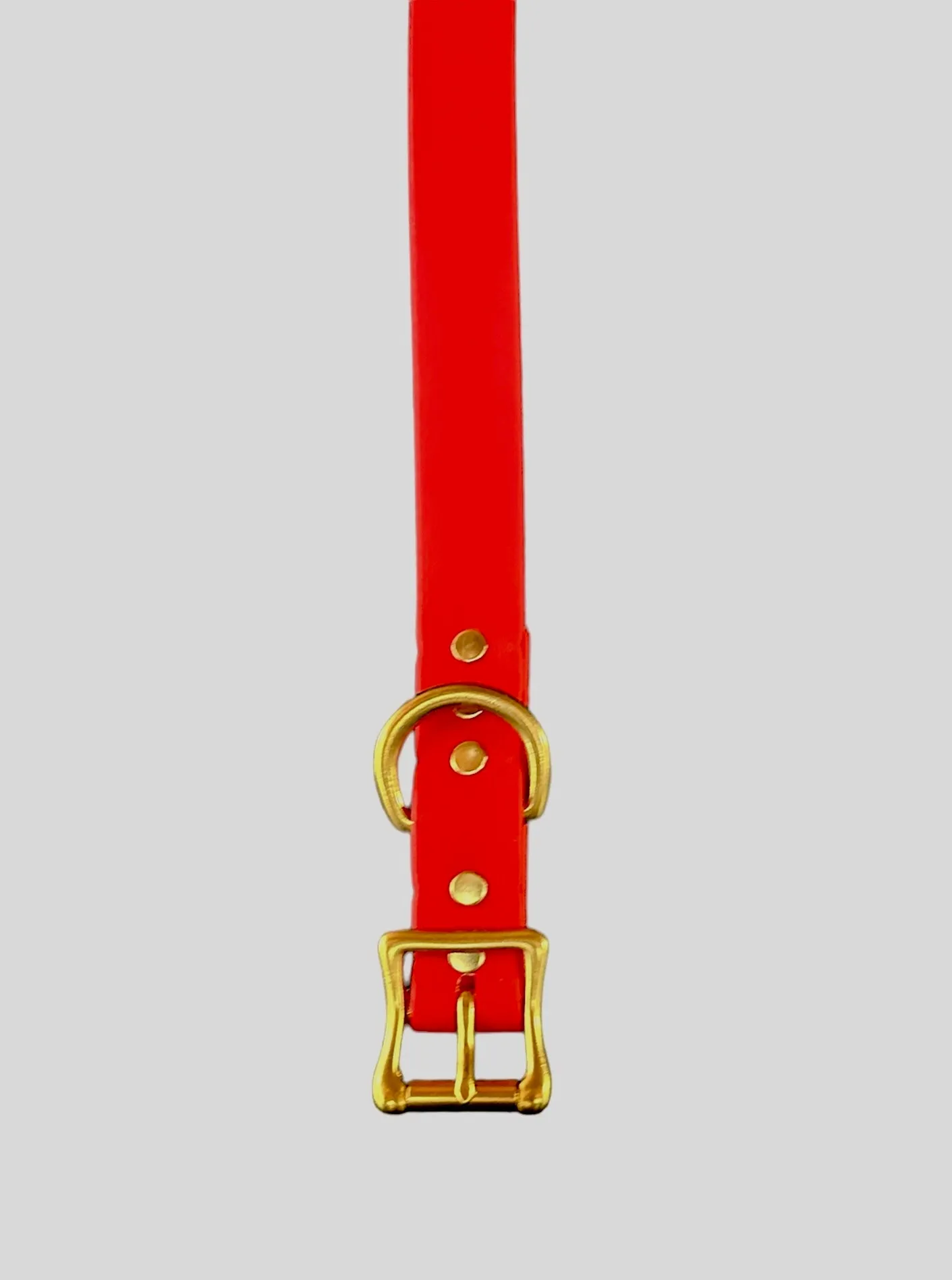 Biothane Waterproof Dog Collar, Bright Cherry Red with Solid Brass Rustproof Hardware