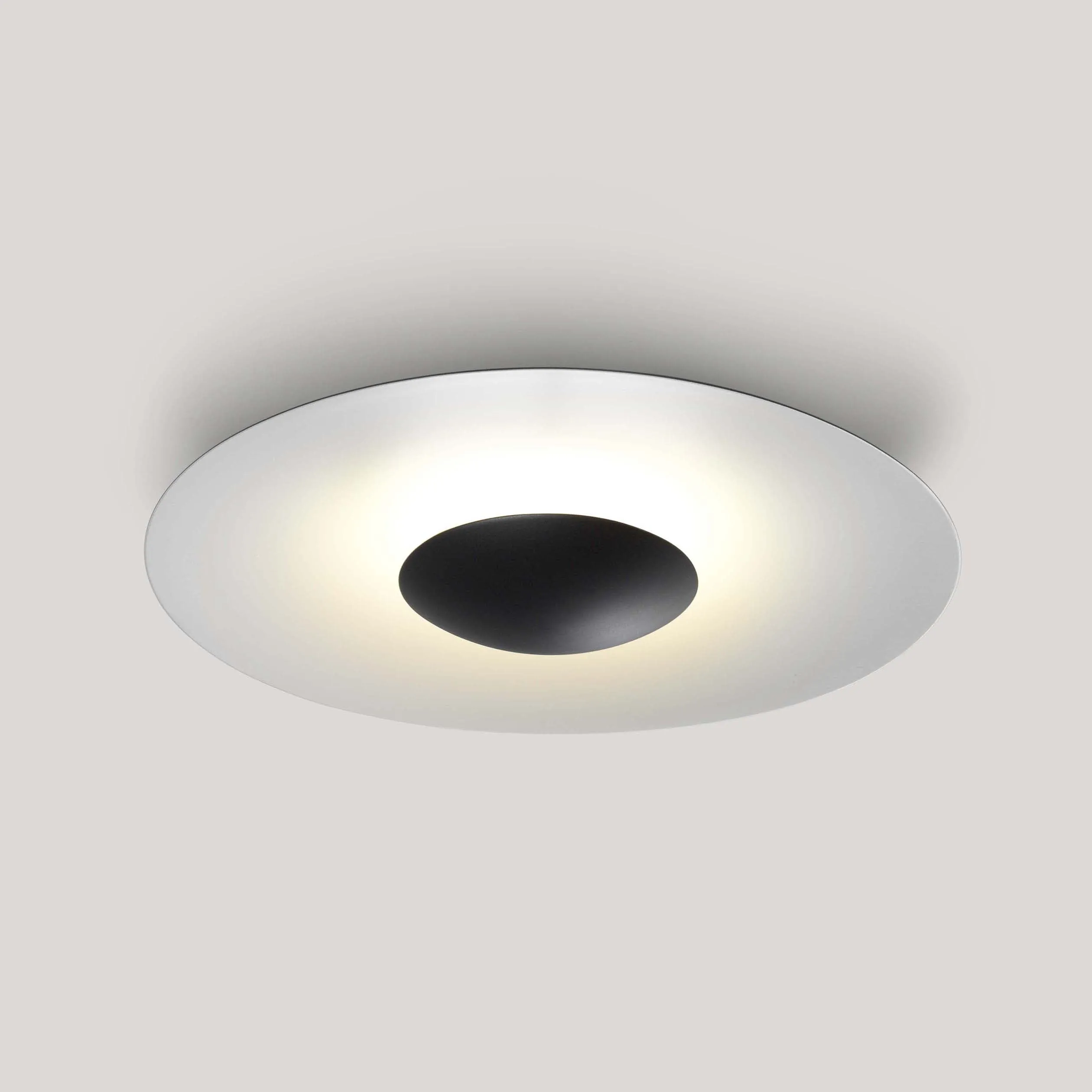 Ginger Outdoor Wall/Ceiling Light