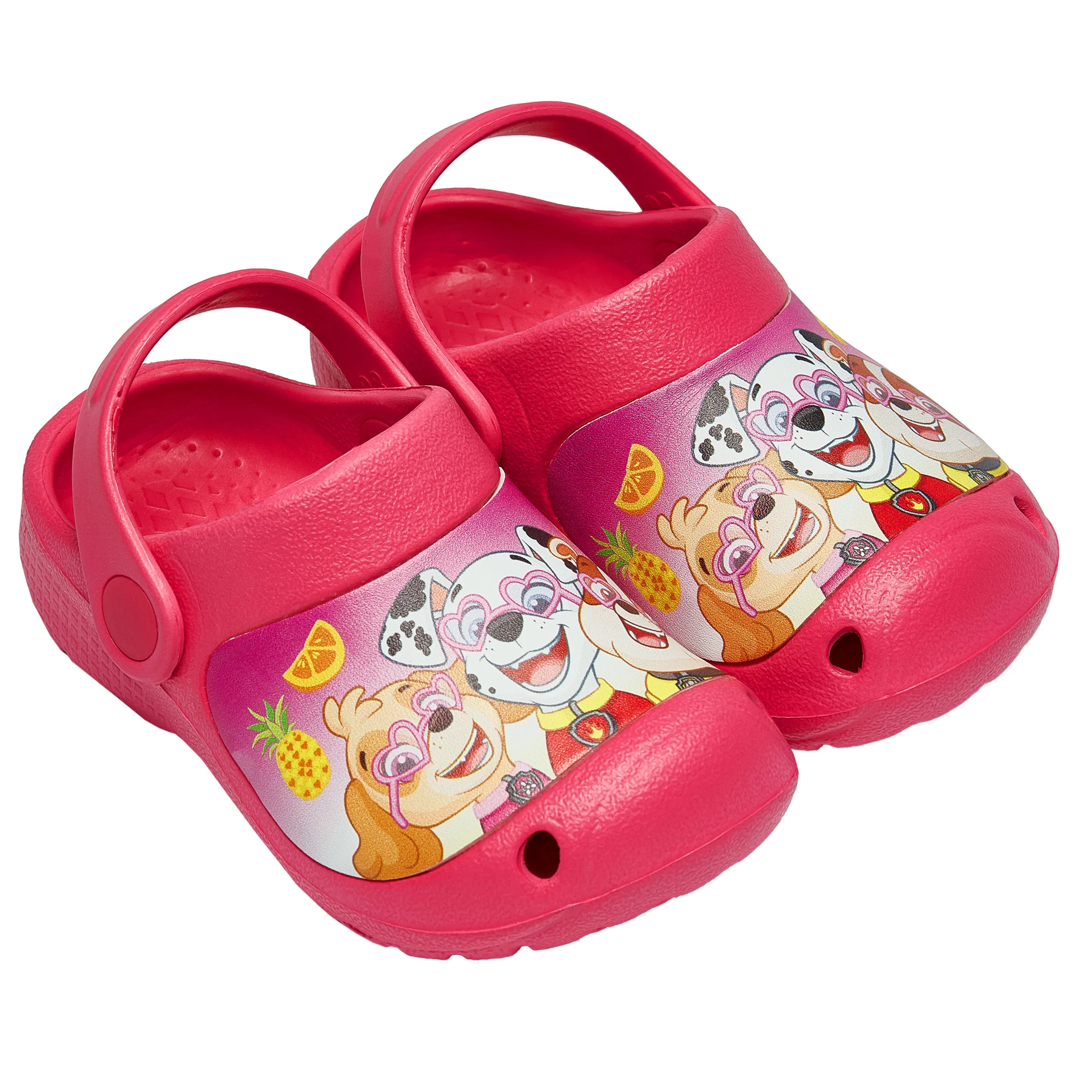 PAW Patrol Skye Clogs