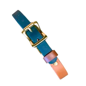 Two-Tone Waterproof Field, Safety or Hunting Collar, Forest Green and Mocha w/Terra Cotta Keeper   Solid Brass Roller Buckle   Square